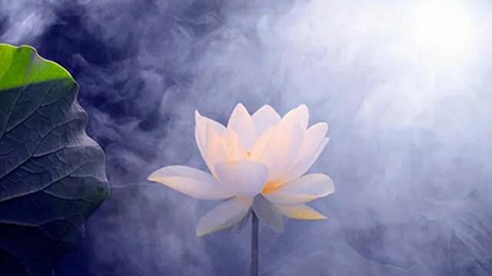 杀业