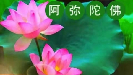 阿弥陀佛